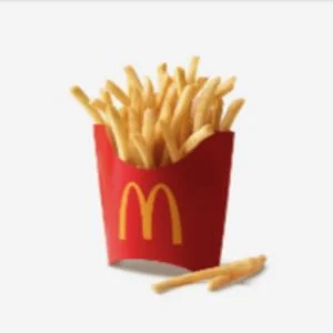 Mcdo Fries Price
